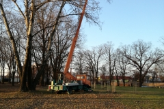dav